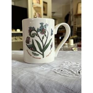 Portmeirion‎ Botanic Garden Forget Me Not Myosotis Papustris